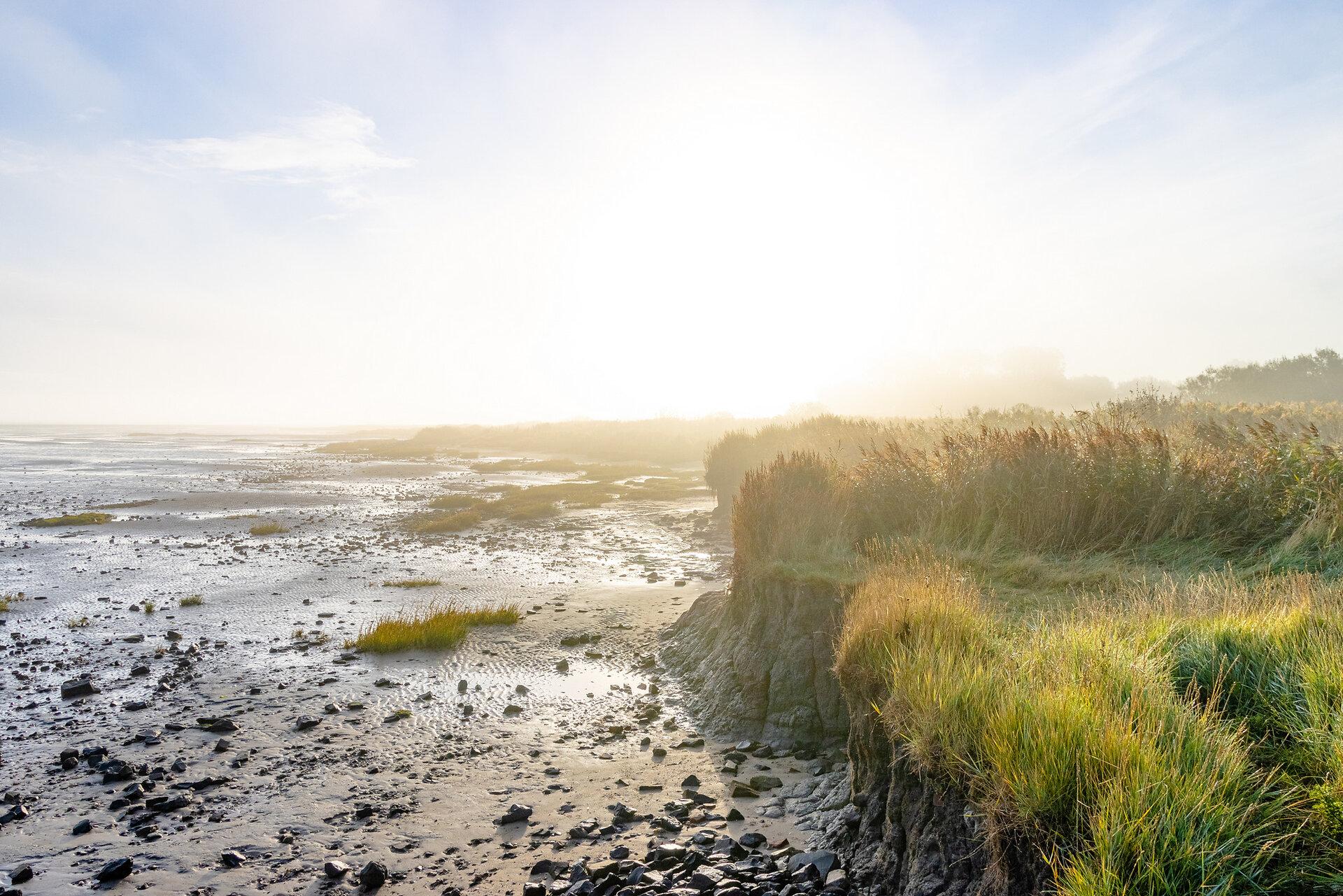 Dünen und Watt am Naturstrand in Bensersiel 