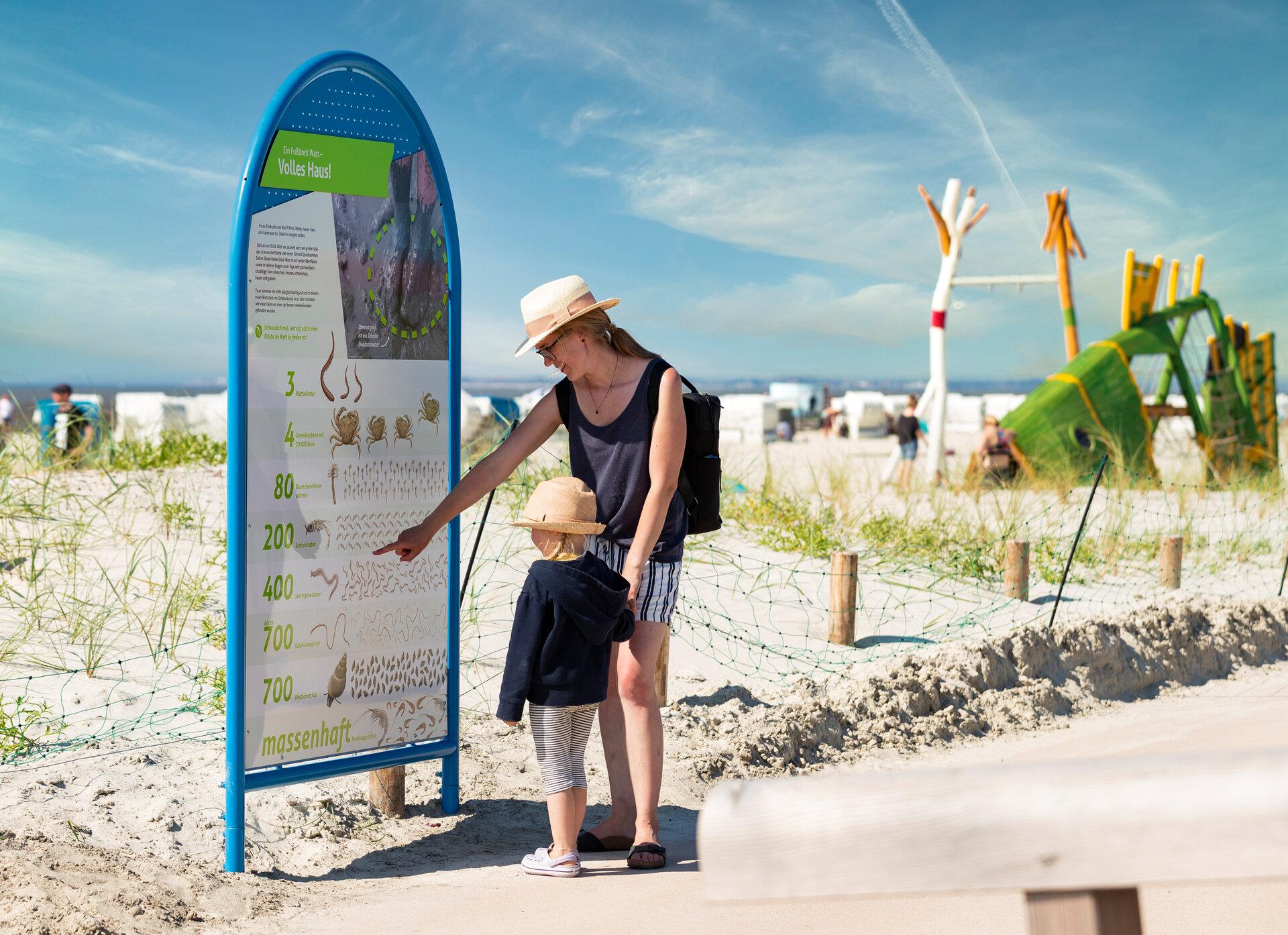 Dünenlehrpfad auf dem neuen DECK in Norden-Norddeich
