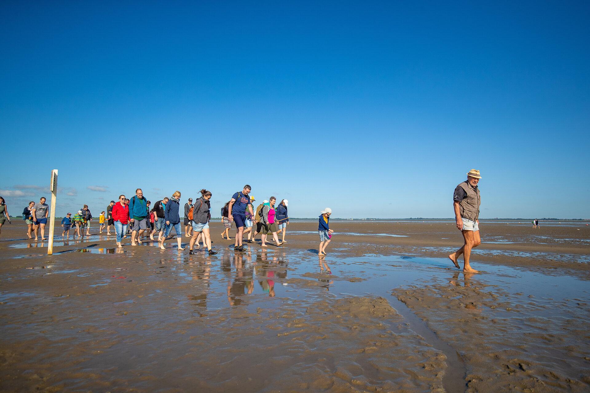Nordsee Wattführung Dangast 