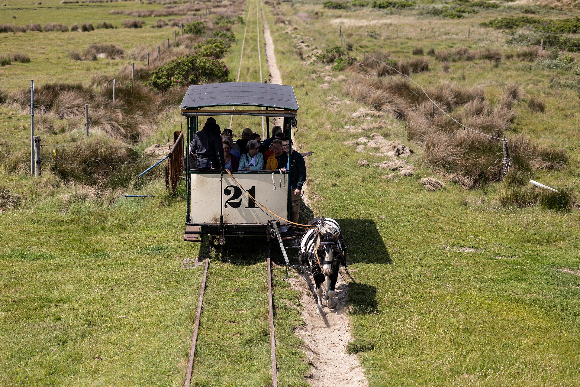 Museumspferdebahn Spiekeroog fährt durch die grüne Landschaft