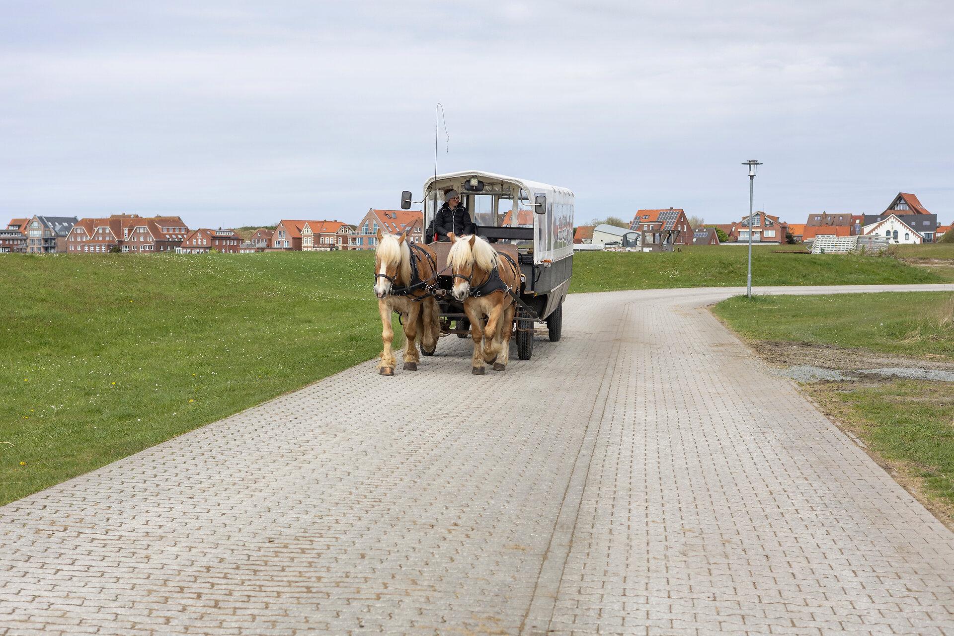 Pferdekutsche unterwegs auf der Straße neben dem Deich auf Juist