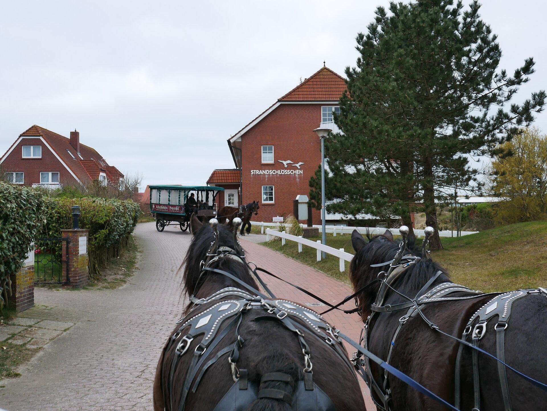 Blick über zwei Pferde auf eine Pferdekutsche im Dorf auf Baltrum