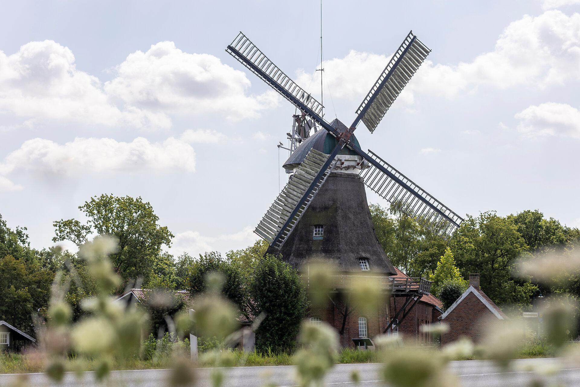 Mühle Bagband im grünen an der Straße in Großefehn
