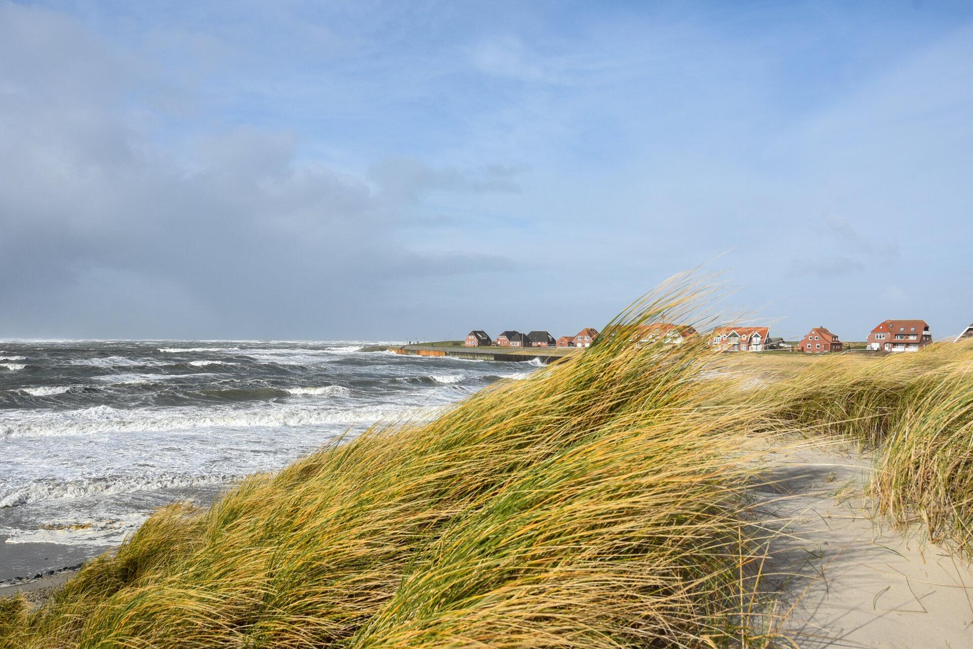 Blick auf das Dünengras und Wasser mit Häusern im Hintergrund auf Baltrum 